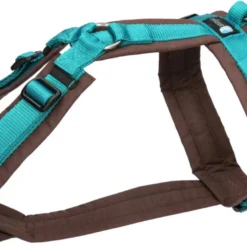 AnnyX Hondentuig Fun – Bruin/Petrol – XS – 43-52 Cm