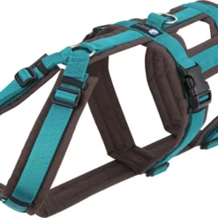 Annyx Safety Hondentuig Bruin Petrol Maat XS Geschikt Voor Borstomvang; 43-52cm