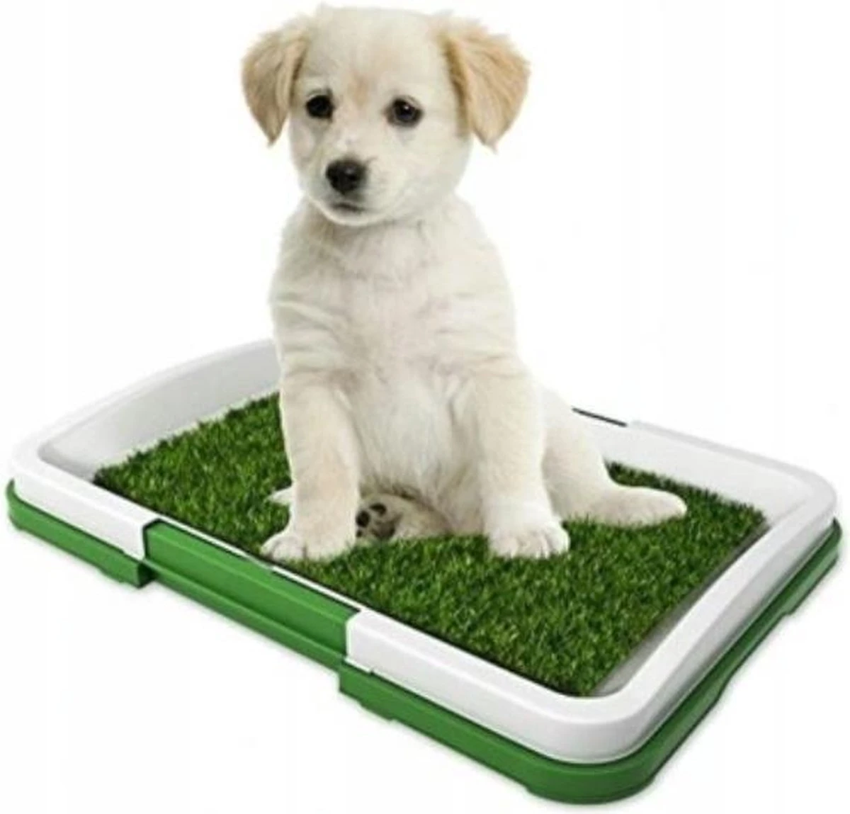 Ariko Hondentoilet – Puppy Training Pads – Geurbestendig & Hondvriendelijk Kunstgras – Zindelijkheid Training – Uitneembare Opvangbak – Voor Puppy’s & Kleine Honden – Indoor En Outdoor 1 Ariko Hondentoilet – Puppy Training Pads – Geurbestendig & Hondvriendelijk Kunstgras – Zindelijkheid Training – Uitneembare Opvangbak – Voor Puppy’s & Kleine Honden – Indoor En Outdoor