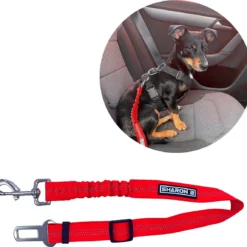 Autogordel Voor Honden – Rood – Voor Optimale Veiligheid Onderweg Voor Hond En Baasje – Schok Absorberend – Hondengordel – Voor Alle Honden – Bestand Tegen Grote Krachten – Geschikt Voor Bijna Alle Auto’s