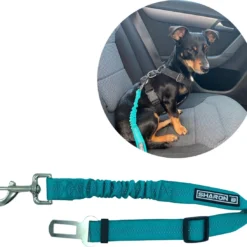 Autogordel Voor Honden – Turquoise – Voor Optimale Veiligheid Onderweg Voor Hond En Baasje – Schok Absorberend – Hondengordel – Voor Alle Honden – Bestand Tegen Grote Krachten – Geschikt Voor Bijna Alle Auto’s
