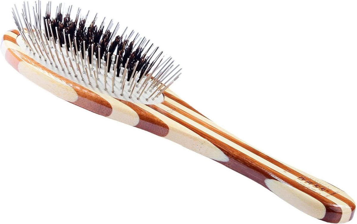 Bass Borstel A1 1 Bass Borstel A1