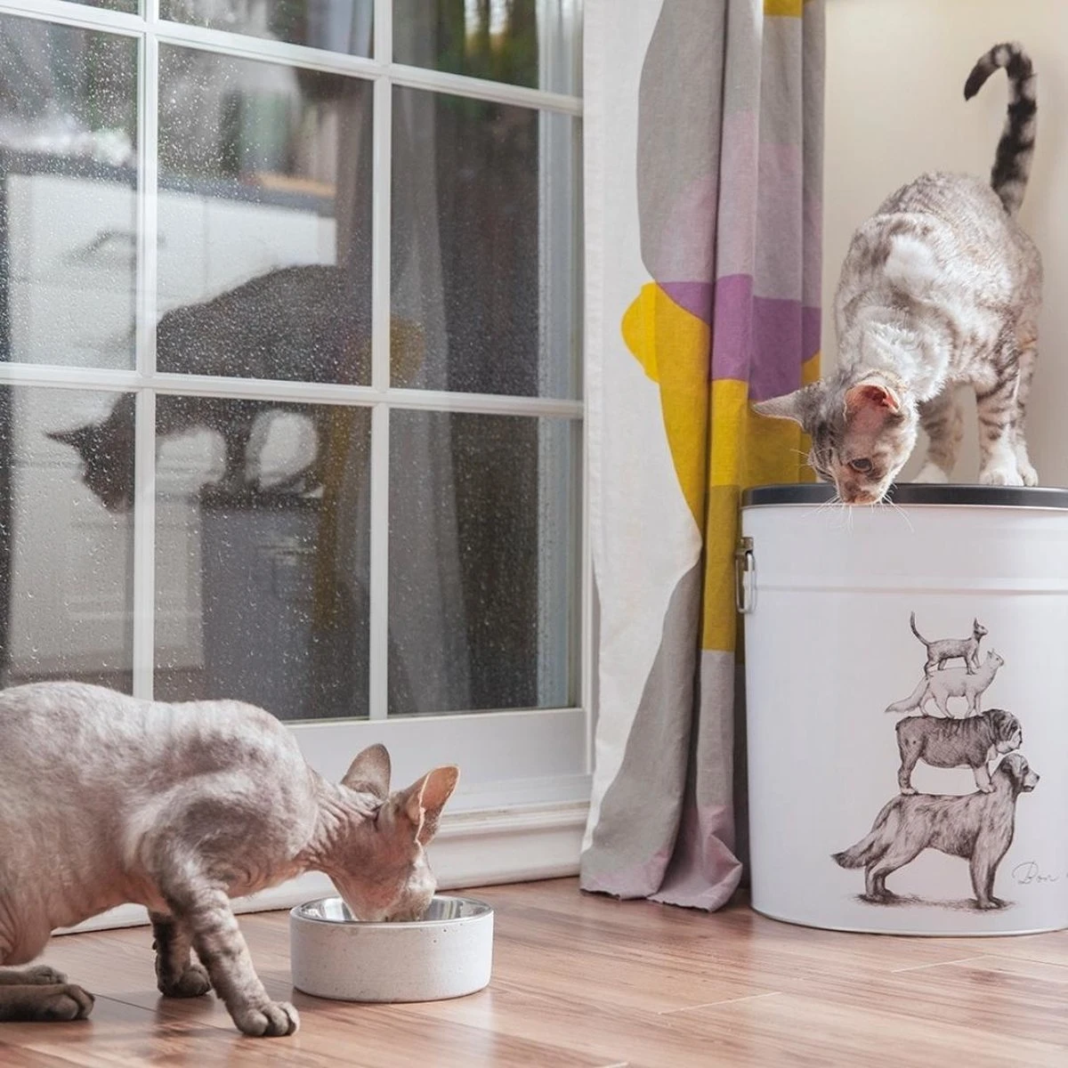 BeOneBreed Betonnen Voerbak Met RVS Kom – Antislip Basis – Grijs – Maat S/M/L – 350 Ml, 700 Ml Of 1400 Ml – Small 1 BeOneBreed Betonnen Voerbak Met RVS Kom – Antislip Basis – Grijs – Maat S/M/L – 350 Ml, 700 Ml Of 1400 Ml – Small