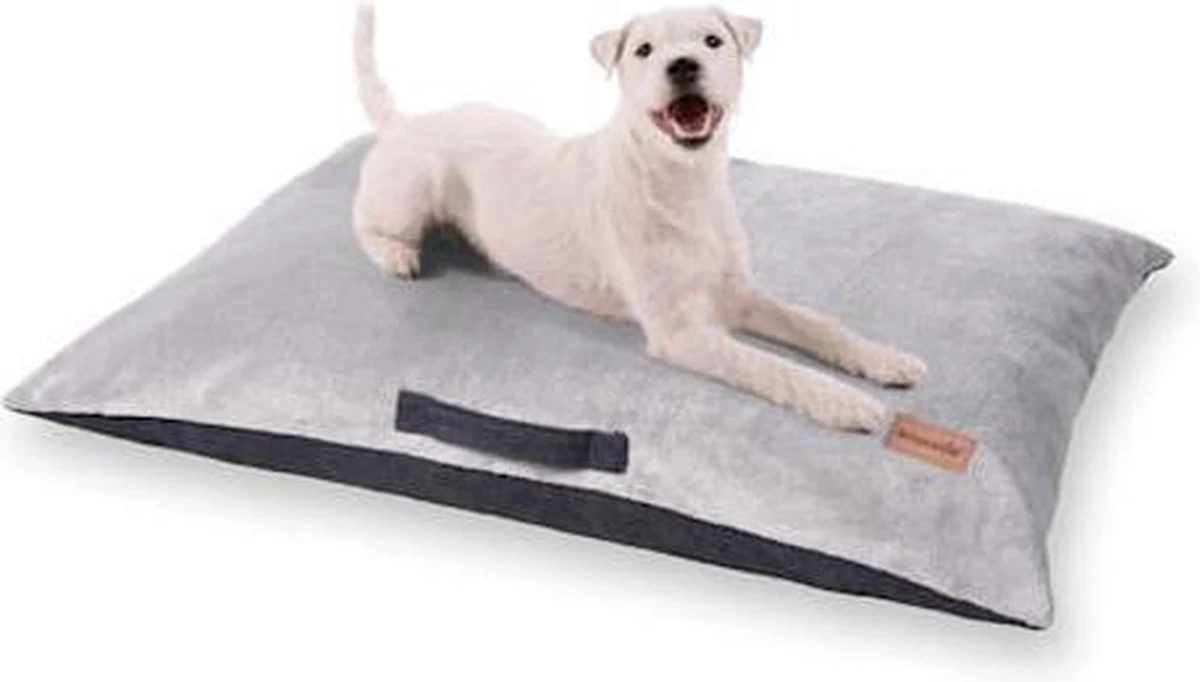 Brunolie Henry Hondenmand – Hondenmat – Wasbaar – Orthopedisch – Slipvrij – Ademend – Pluche / Traagschuim – Maat M (80 X 10 X 55 Cm) 1 Brunolie Henry Hondenmand – Hondenmat – Wasbaar – Orthopedisch – Slipvrij – Ademend – Pluche / Traagschuim – Maat M (80 X 10 X 55 Cm)