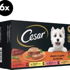 Cesar Classic Honden Natvoer Mix Multipack (6 Stuks X 4 Potjes X 150g) – 3600 Gram
