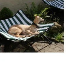 Chikko Stretcher 90x90x20 Groen-wit Gestreept