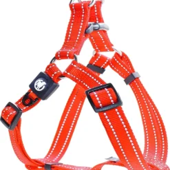 DDOXX Hondenharnas Nylon, Step-In, Reflecterend, Verstelbaar, Breakaway | Voor Kleine & Grote Honden | Borstharnas Hond Kat Puppy Auto | Puppy Harnas Kat Harnas | Oranje, XXS