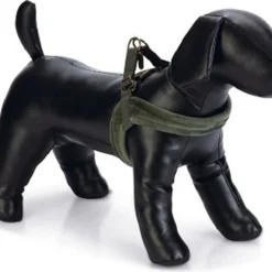 Beeztees Designed By Lotte Velura – Hondentuig – Kleur: Groen – Maat M – Omvang 58 Cm