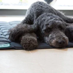 Doctor Bark Hondendeken, Zwart, Maat L