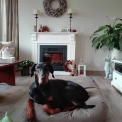 Dog’s Companion – Hondenkussen / Hondenbed Taupe Katoen Extra Small – XS – 55x45cm