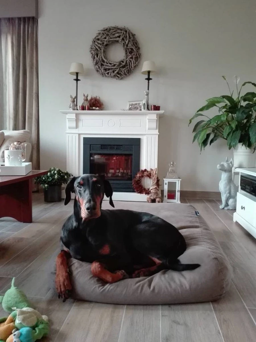 Dog’s Companion – Hondenkussen / Hondenbed Taupe Katoen Extra Small – XS – 55x45cm 1 Dog’s Companion – Hondenkussen / Hondenbed Taupe Katoen Extra Small – XS – 55x45cm