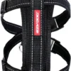EzyDog Chest Plate Hondentuig Met Autogordel Zekering – Honden Harnas – M – Zwart