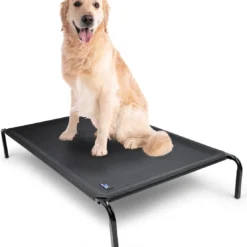 Honden Gedragscentrum Oost Hondenbed – Hondenstretcher – Honden Ligbed – Stretcher – Hond – Zwart