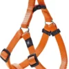 Hondentuig Ziggi Oranje – Oranje – 60 – 90 Cm X 25 Mm