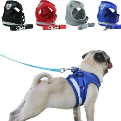 Hondentuig, Hondenharnas Met Hondenriem – Reflecterend – Zwart – Maat L (borst 40-45 Cm)