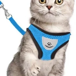 Kattentuigje – Kattenharnas – Kattentuig Met Looplijn – Hondentuigje – Hondenharnas – Blauw – Maat L