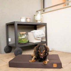 Melman Orthopedisch Hondenbed – M – Bruin – Codura – Orthopedische Hondenmand – Orthopedisch Benchkussen