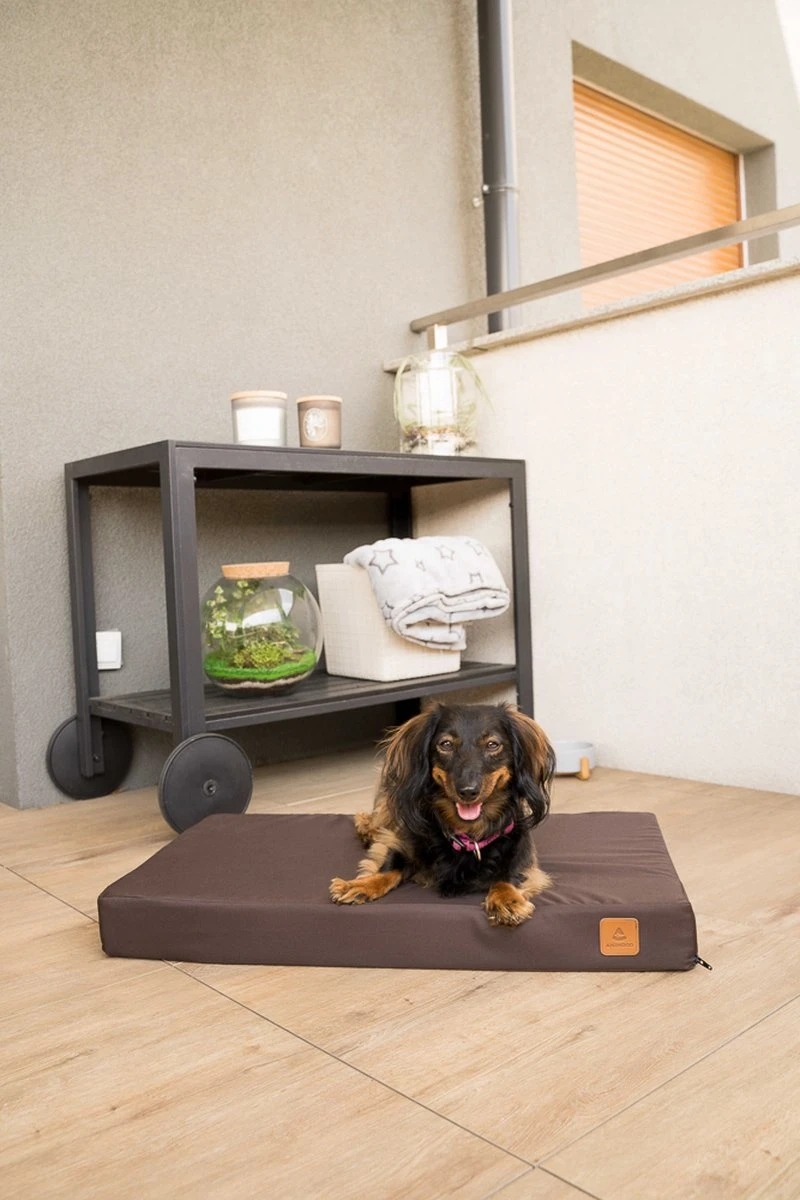 Melman Orthopedisch Hondenbed – M – Bruin – Codura – Orthopedische Hondenmand – Orthopedisch Benchkussen 1 Melman Orthopedisch Hondenbed – M – Bruin – Codura – Orthopedische Hondenmand – Orthopedisch Benchkussen