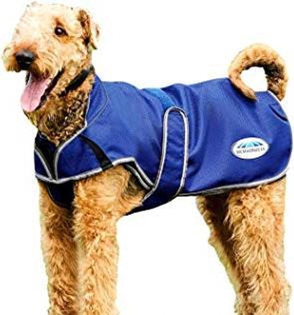 RelaxPets – Weatherbeeta – Hondendeken – Premier Free Duo Deluxe – 50 Gram – Uitneembare Fleece Voering – Blauw – 70 Cm 1 RelaxPets – Weatherbeeta – Hondendeken – Premier Free Duo Deluxe – 50 Gram – Uitneembare Fleece Voering – Blauw – 70 Cm