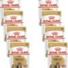 Royal Canin Shih Tzu Adult Natvoer – Hondenvoer – 8 X 12×85 G