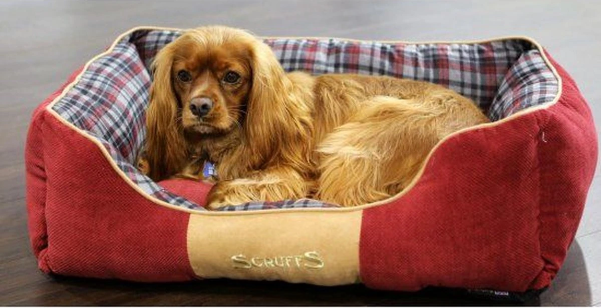 Scruffs Highland Box Bed – Stevige Hondenmand Van Hoogwaardige Chenille Stof Met Anti-slip Onderzijde – Kleur: Rood, Maat: Small 1 Scruffs Highland Box Bed – Stevige Hondenmand Van Hoogwaardige Chenille Stof Met Anti-slip Onderzijde – Kleur: Rood, Maat: Small