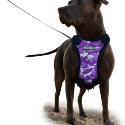 Sharon B – Hondentuig – Grote Hond – Camouflage – Paars – Hondenharnas – L – Mesh – Anti Trek Tuig – Easy Walk
