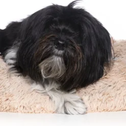 Snoozle Donut Hondenmand – Zacht En Luxe Hondenkussen – Wasbaar – Fluffy – Hondenmanden – 60cm – Creme Bruin