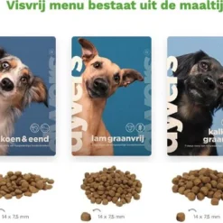 Visvrij Hondenmenu Dyvers – Dagelijks Wisselende Hondenbrokken – 100% Natuurlijk – Volledig Vrij Van Vis Hondenvoer – 7x1kg