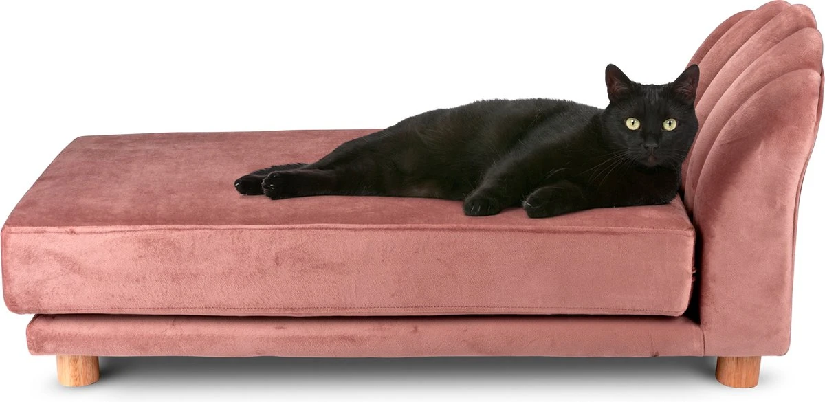 Maxxpro Katten- En Hondenbank – Roze – Verhoogd Met Houten Poten – Fluweel Materiaal – 90 X 44 X 34 CM – Huisdieren Tot 80 KG 1 Maxxpro Katten- En Hondenbank – Roze – Verhoogd Met Houten Poten – Fluweel Materiaal – 90 X 44 X 34 CM – Huisdieren Tot 80 KG